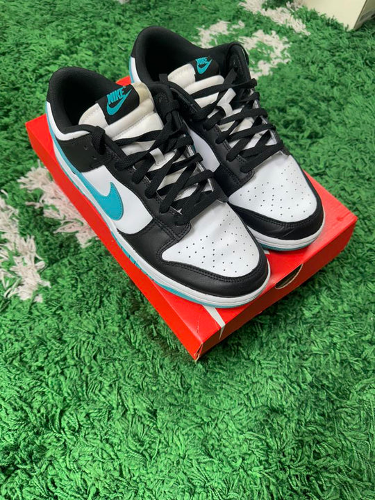 Nike Dunk Low Black Dusty Cactus USED