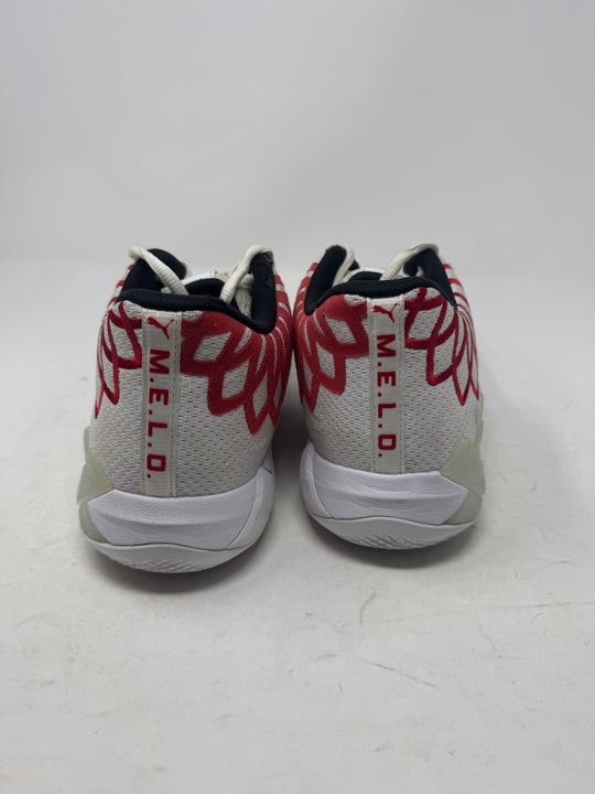 Lamelo Ball Basketball Shoe