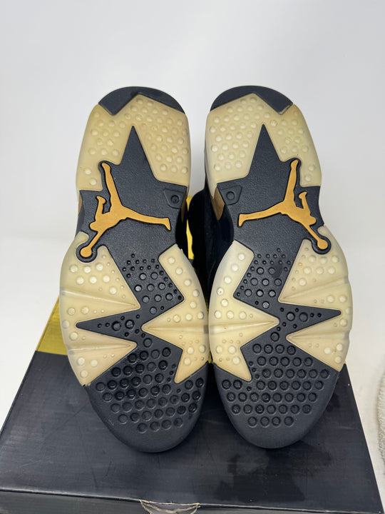 Jordan 6 Retro DMP (2020) USED