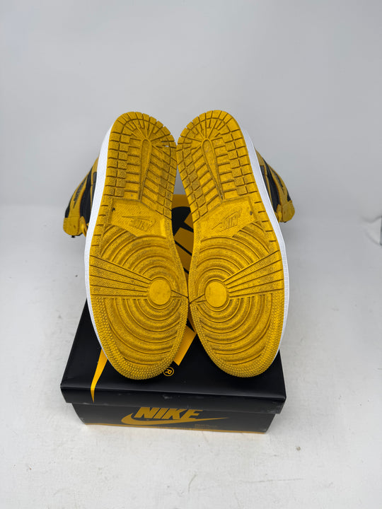 Jordan 1 Retro High Pollen USED