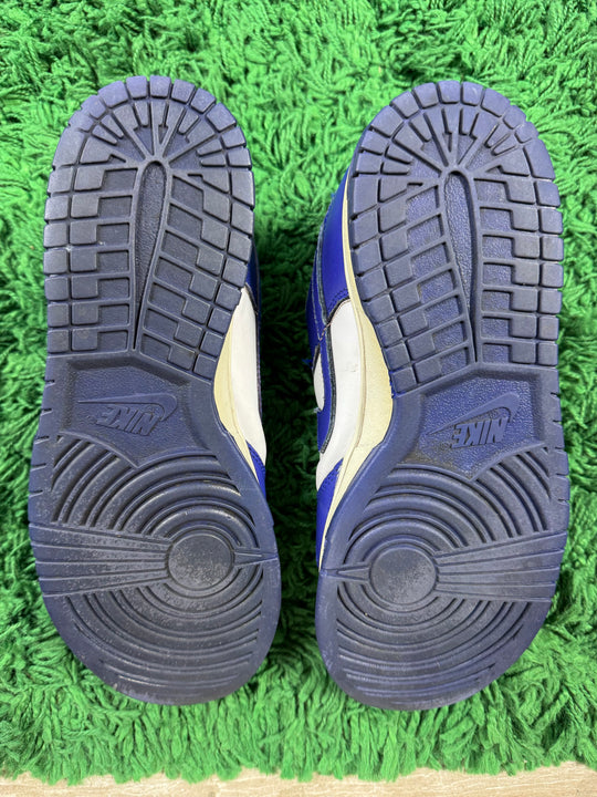 Nike Dunk Low Concord USED