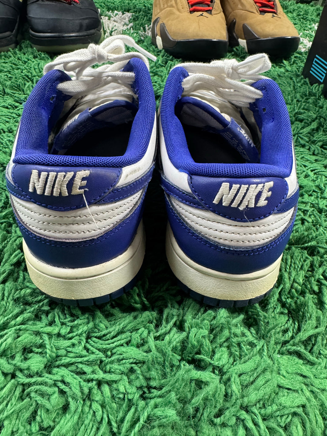 Nike Dunk Low Concord USED